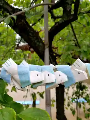 鳩森八幡神社のおみくじ