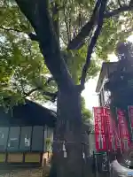 笠䅣稲荷神社の{uncategorized: "未分類", other: "その他", undefined: "問題あり", building: "その他建物", grave: "お墓", sacred_gate: "鳥居", guardian: "狛犬", statue: "像", buddha: "仏像", history: "歴史", nature: "自然", garden: "庭園", animal: "動物", pagoda: "塔", temizu: "手水舎", mountain_gate: "山門・神門", sanctuary: "本殿・本堂", subordinate: "末社・摂社", art: "芸術", scenery: "景色", jizo: "地蔵", ema: "絵馬", goshuin: "御朱印", omikuji: "おみくじ", items: "授与品その他", amulet: "お守り", goshuincho: "御朱印帳", eats: "食事", festival: "お祭り", votive_dance: "神楽", shichigosan: "七五三参", wedding: "結婚式", experience: "体験その他", initially: "初詣", around: "周辺", anti_infection: "感染症対策"}