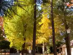 小野神社の自然