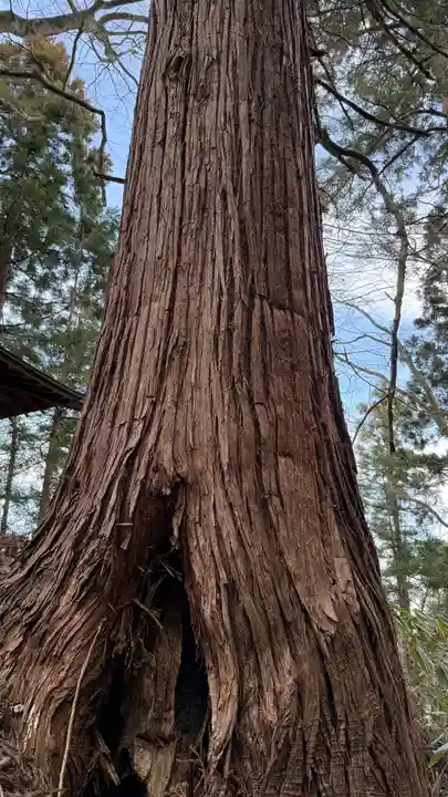 飯豊神社(宮城県)