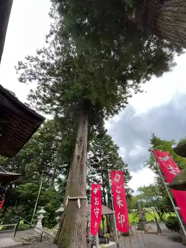 高司神社〜むすびの神の鎮まる社〜(福島県)