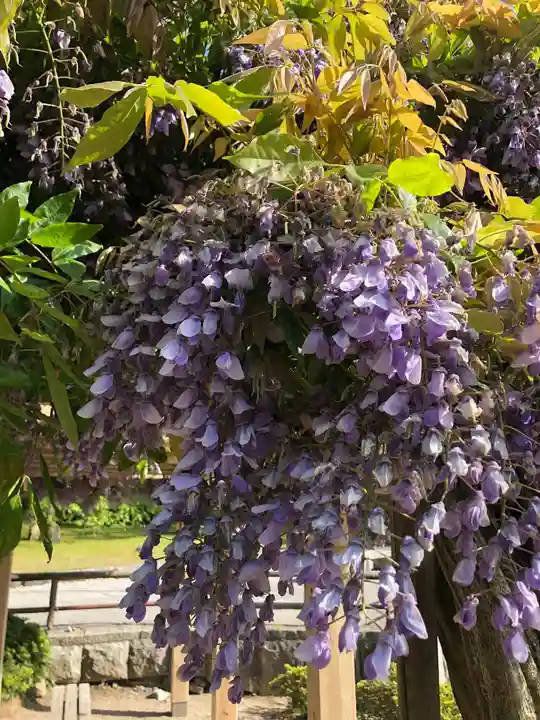 白山神社(新潟県)