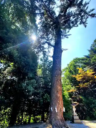 滑川神社 - 仕事と子どもの守り神の自然