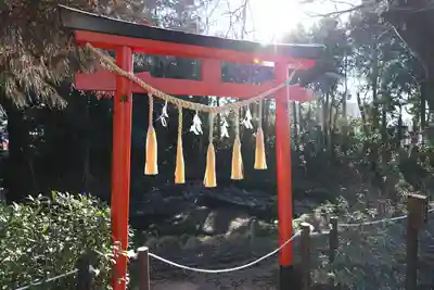 鷲宮神社(埼玉県)