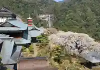 青岸渡寺の{uncategorized: "未分類", other: "その他", undefined: "問題あり", building: "その他建物", grave: "お墓", sacred_gate: "鳥居", guardian: "狛犬", statue: "像", buddha: "仏像", history: "歴史", nature: "自然", garden: "庭園", animal: "動物", pagoda: "塔", temizu: "手水舎", mountain_gate: "山門・神門", sanctuary: "本殿・本堂", subordinate: "末社・摂社", art: "芸術", scenery: "景色", jizo: "地蔵", ema: "絵馬", goshuin: "御朱印", omikuji: "おみくじ", items: "授与品その他", amulet: "お守り", goshuincho: "御朱印帳", eats: "食事", festival: "お祭り", votive_dance: "神楽", shichigosan: "七五三参", wedding: "結婚式", experience: "体験その他", initially: "初詣", around: "周辺", anti_infection: "感染症対策"}