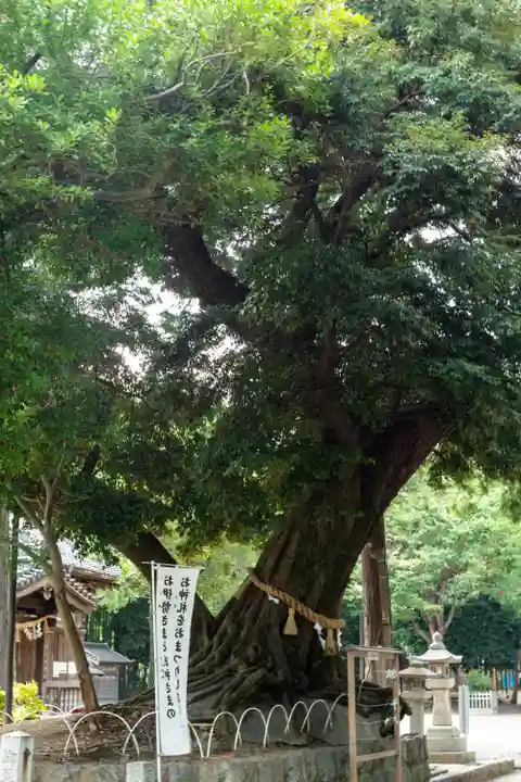 豊川進雄神社(愛知県)