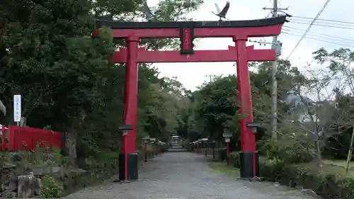 加紫久利神社の鳥居