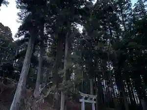 大宮温泉神社(栃木県)(2024年03月03日(日) 17時57分02秒投稿)