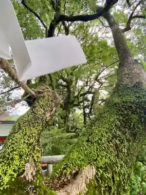 熊野那智大社(和歌山県)