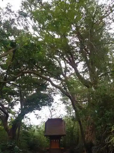 惶根神社の本殿・本堂
