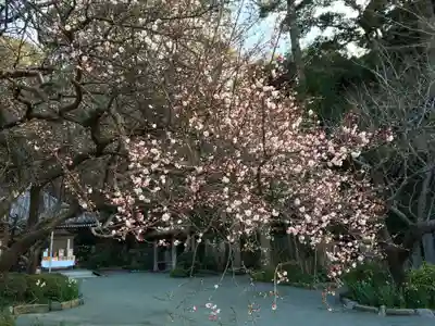 鎮國寺(福岡県)