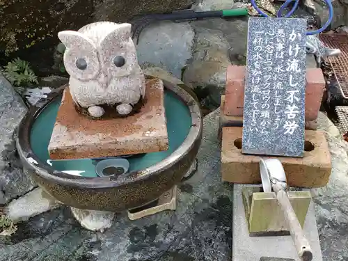 到津八幡神社の狛犬