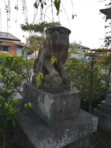 竹生島神社の狛犬