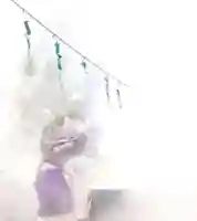 五井山 妙善院(愛知県)