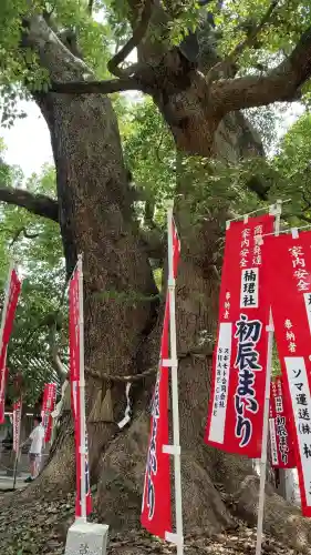 住吉大社の自然