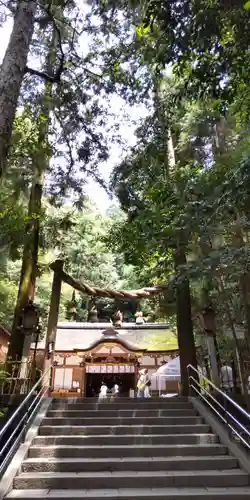 狭井坐大神荒魂神社(狭井神社)(奈良県)
