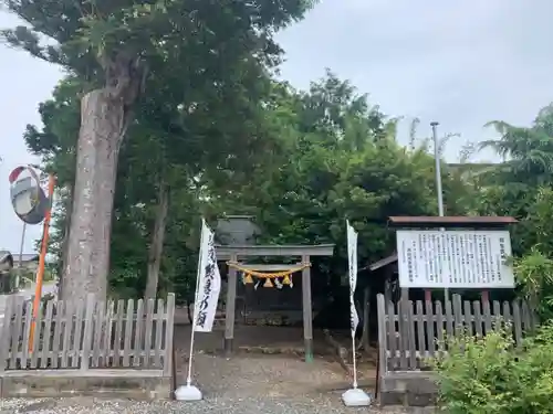 初生衣神社の鳥居