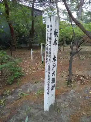 松原神社(福井県)