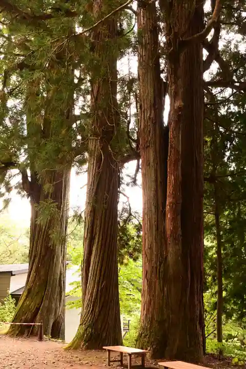 戸隠神社火之御子社(長野県)