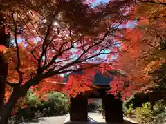 普門寺(切り絵御朱印発祥の寺)の自然