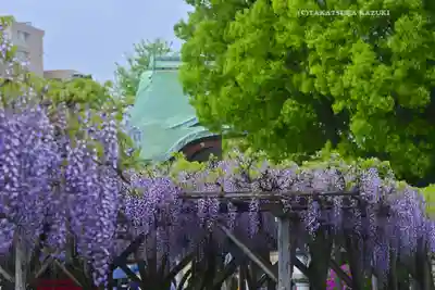 亀戸天神社(東京都)