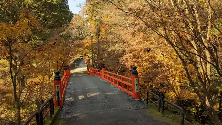 今熊野観音寺(京都府)