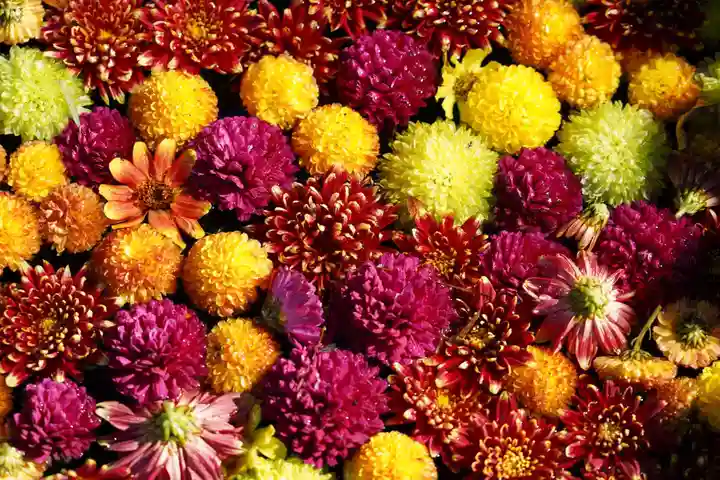 大鏑神社の手水舎