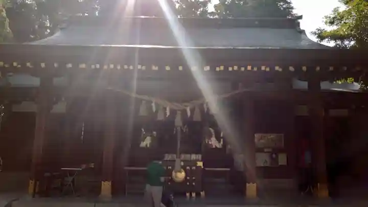 新田神社の本殿・本堂