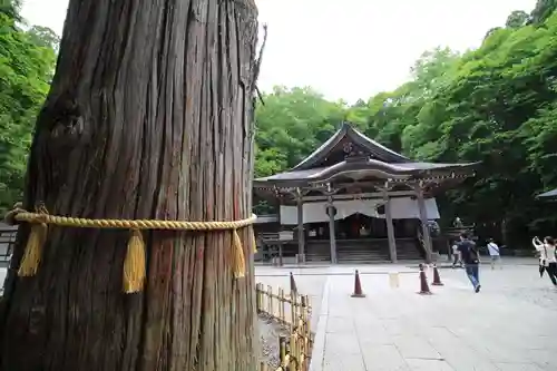 戸隠神社中社(長野県)