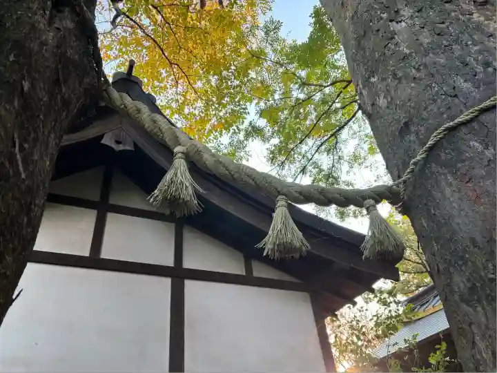川越氷川神社(埼玉県)