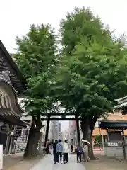 湯島天満宮の鳥居