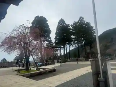 大山阿夫利神社の{uncategorized: "未分類", other: "その他", undefined: "問題あり", building: "その他建物", grave: "お墓", sacred_gate: "鳥居", guardian: "狛犬", statue: "像", buddha: "仏像", history: "歴史", nature: "自然", garden: "庭園", animal: "動物", pagoda: "塔", temizu: "手水舎", mountain_gate: "山門・神門", sanctuary: "本殿・本堂", subordinate: "末社・摂社", art: "芸術", scenery: "景色", jizo: "地蔵", ema: "絵馬", goshuin: "御朱印", omikuji: "おみくじ", items: "授与品その他", amulet: "お守り", goshuincho: "御朱印帳", eats: "食事", festival: "お祭り", votive_dance: "神楽", shichigosan: "七五三参", wedding: "結婚式", experience: "体験その他", initially: "初詣", around: "周辺", anti_infection: "感染症対策"}