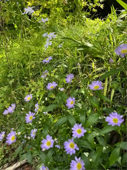 岩戸別神社(栃木県)