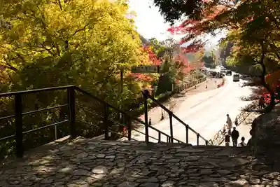安養寺（立木観音）(滋賀県)