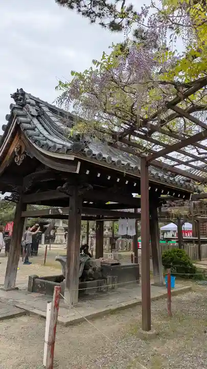 葛井寺(大阪府)