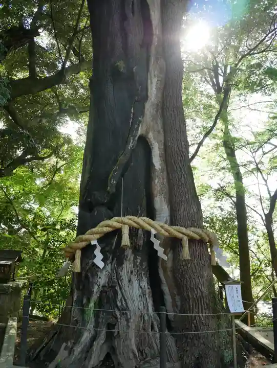 常陸國總社宮(茨城県)