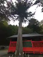 鎮神社(長野県)