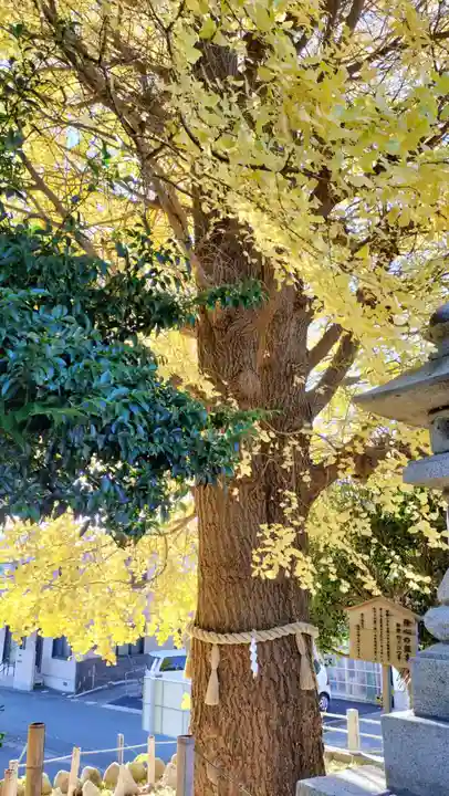 鹿嶋神社(茨城県)