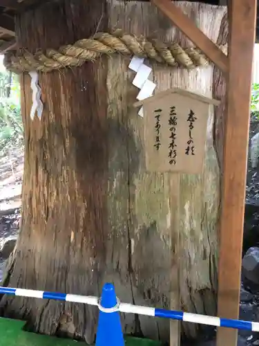 大神神社の自然