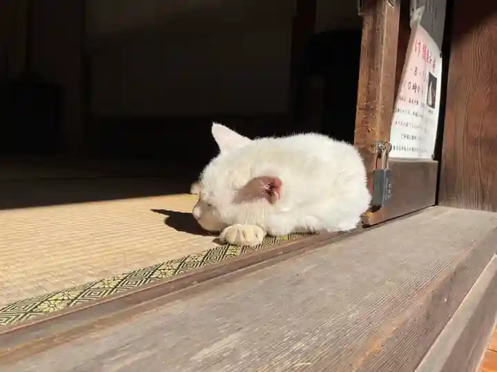 宝寿院(愛知県)