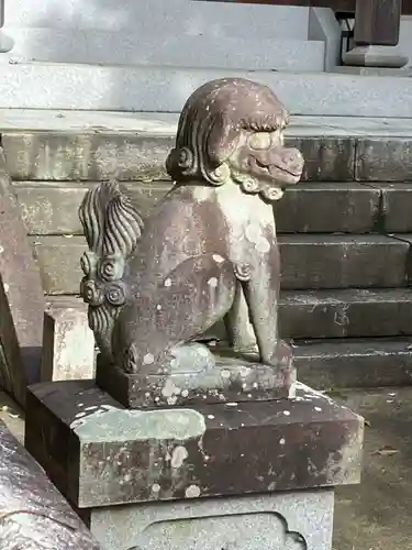 白山神社（木曽川町黒田）の狛犬