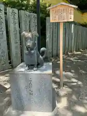 金刀比羅宮の狛犬