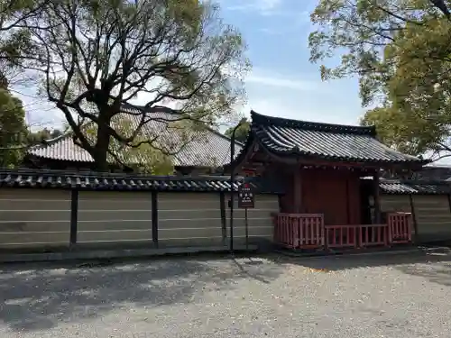 東寺（教王護国寺）(京都府)