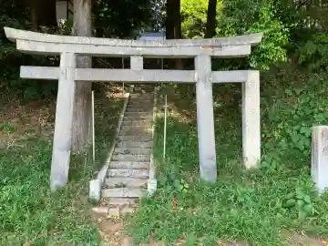 南上野町星宮神社の{uncategorized: "未分類", other: "その他", undefined: "問題あり", building: "その他建物", grave: "お墓", sacred_gate: "鳥居", guardian: "狛犬", statue: "像", buddha: "仏像", history: "歴史", nature: "自然", garden: "庭園", animal: "動物", pagoda: "塔", temizu: "手水舎", mountain_gate: "山門・神門", sanctuary: "本殿・本堂", subordinate: "末社・摂社", art: "芸術", scenery: "景色", jizo: "地蔵", ema: "絵馬", goshuin: "御朱印", omikuji: "おみくじ", items: "授与品その他", amulet: "お守り", goshuincho: "御朱印帳", eats: "食事", festival: "お祭り", votive_dance: "神楽", shichigosan: "七五三参", wedding: "結婚式", experience: "体験その他", initially: "初詣", around: "周辺", anti_infection: "感染症対策"}