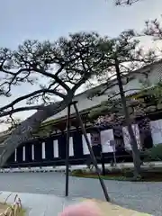 蓮華王院（三十三間堂）(京都府)