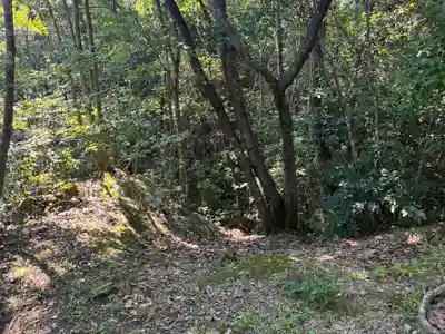 天一神社(徳島県)