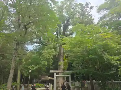 伊弉諾神宮(兵庫県)