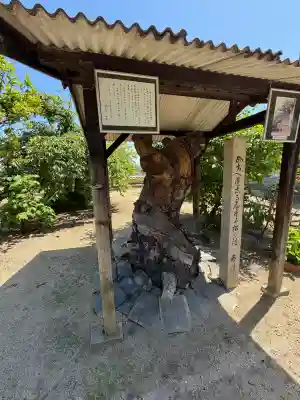 持光寺の{uncategorized: "未分類", other: "その他", undefined: "問題あり", building: "その他建物", grave: "お墓", sacred_gate: "鳥居", guardian: "狛犬", statue: "像", buddha: "仏像", history: "歴史", nature: "自然", garden: "庭園", animal: "動物", pagoda: "塔", temizu: "手水舎", mountain_gate: "山門・神門", sanctuary: "本殿・本堂", subordinate: "末社・摂社", art: "芸術", scenery: "景色", jizo: "地蔵", ema: "絵馬", goshuin: "御朱印", omikuji: "おみくじ", items: "授与品その他", amulet: "お守り", goshuincho: "御朱印帳", eats: "食事", festival: "お祭り", votive_dance: "神楽", shichigosan: "七五三参", wedding: "結婚式", experience: "体験その他", initially: "初詣", around: "周辺", anti_infection: "感染症対策"}