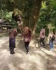 賀茂御祖神社（下鴨神社）(京都府)