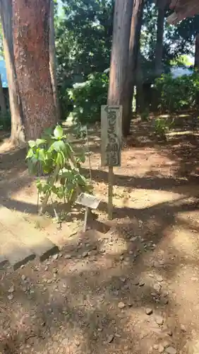 山神社(宮城県)